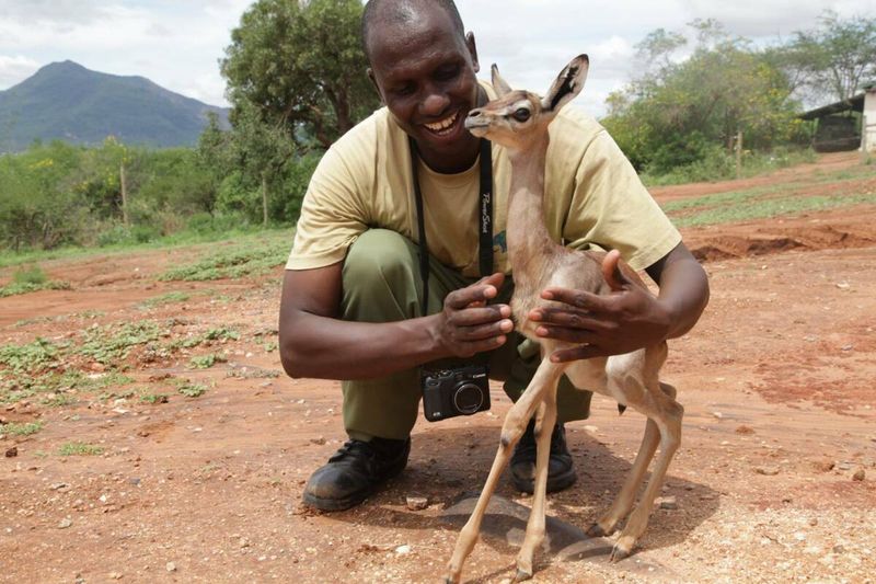 Sheldrick Wildlife Trust/Fb