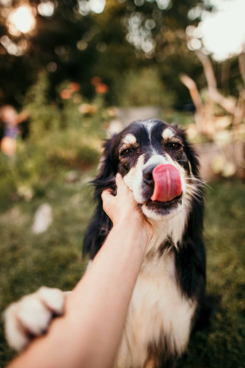 Joyful Times Photography/Fb