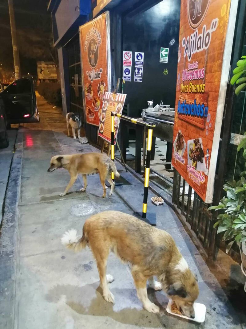 Restaurante – ajilalo/Fb