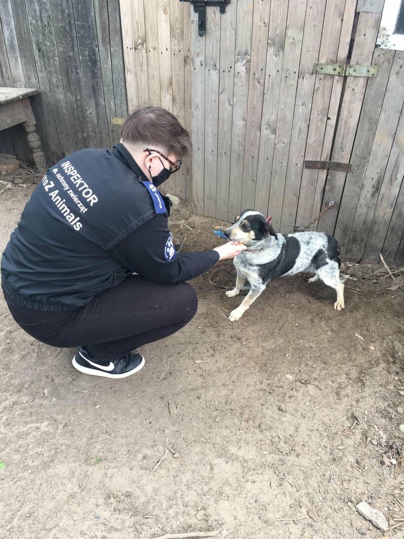 Źródło: OTOZ Animals Inspektoriat Warszawa / facebook.com