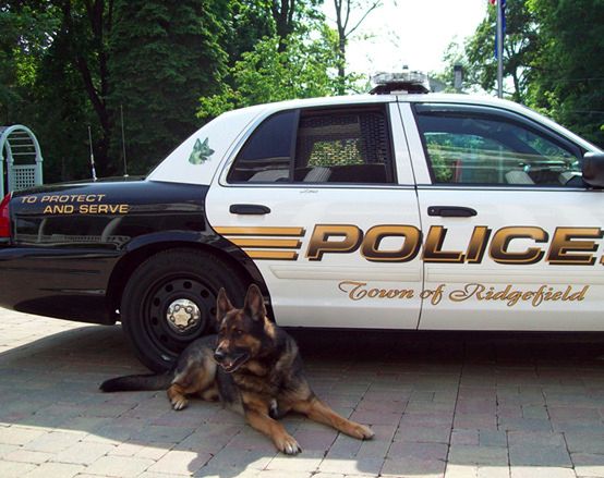 Źródło: Ridgefield CT Police Department / facebook.com