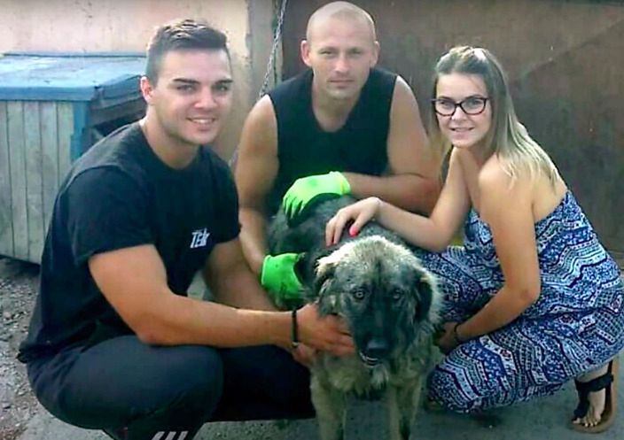 Źródło: Dog Rescue Shelter Mladenovac, Serbia / youtube.com