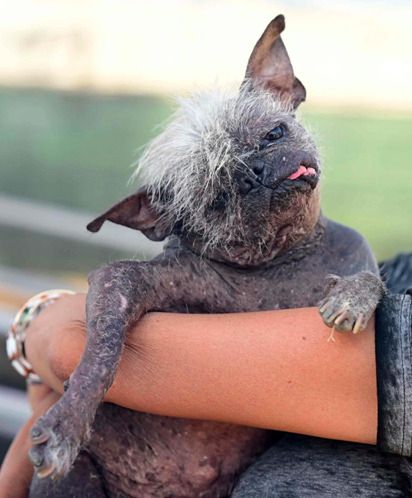 Źródło: Josh Edelson / gettyimages.com