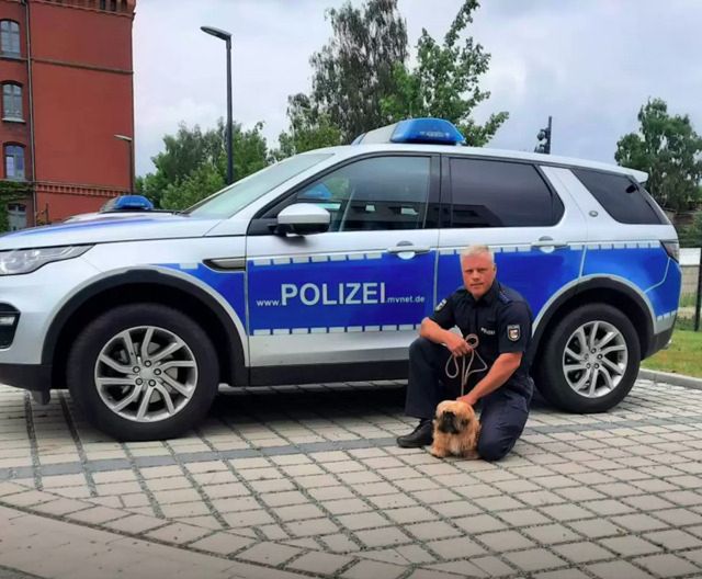 Źródło: Polizei Vorpommern-Greifswald / facebook.com