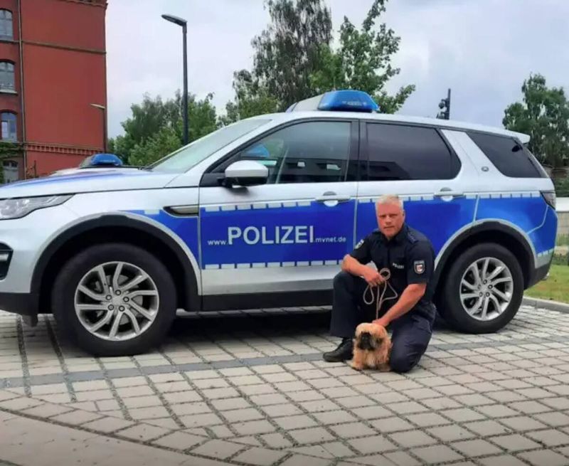 Źródło: Polizei Vorpommern-Greifswald / facebook.com