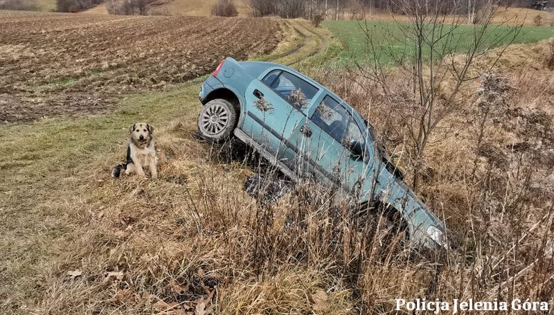 Źródło: Komenda Miejska Policji w Jeleniej Górze / Facebook.com