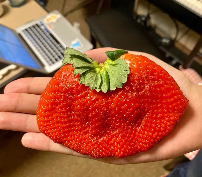 © Reddit