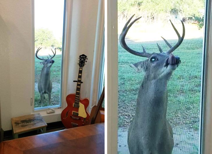 © pennybrowneyes / Reddit