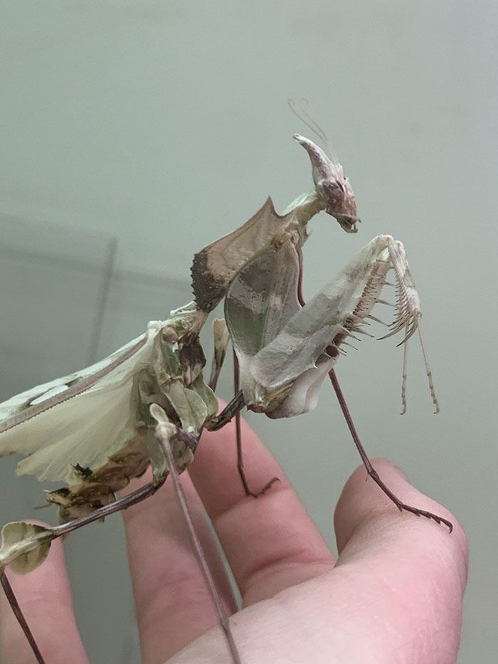  bugsandnaturethings 