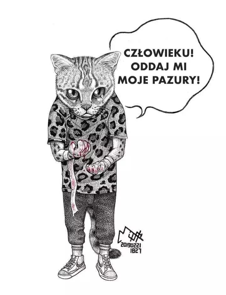 kochamyzwierzaki.pl