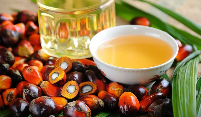 Utwardzony olej palmowy jest bardzo szkodliwy – Pyszności; foto: Canva