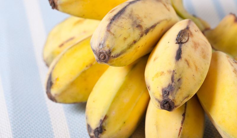 Końcówka banana nie ma zbyt dobrej opinii – Pyszności; foto: Canva
