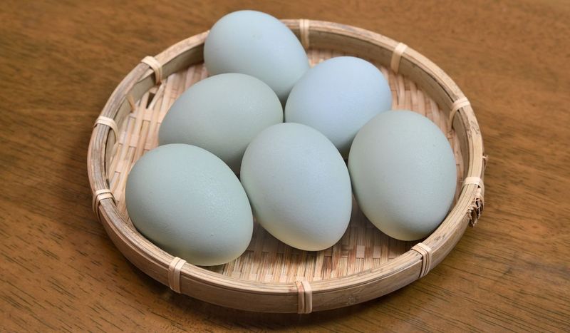 Niektóre kury składają niebieskie jajka – Pyszności; foto: Canva