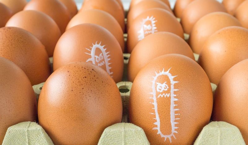 Salmonella może wystąpić na skorupkach jajek – Pyszności; foto: Canva