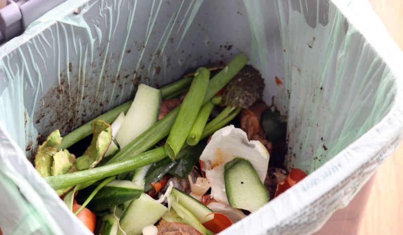 Jedzenie w koszu na śmieci – Pyszności; Fot. Canva