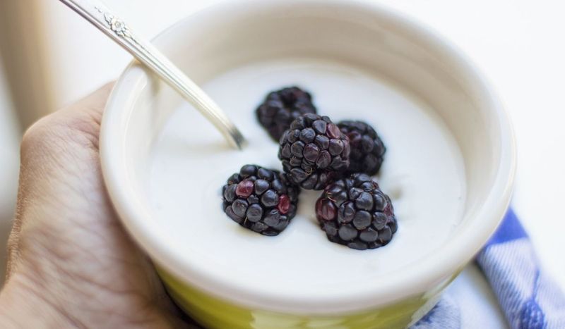 Jesz Jogurt I Masz Takie Objawy Lepiej Natychmiast Przestań 1560