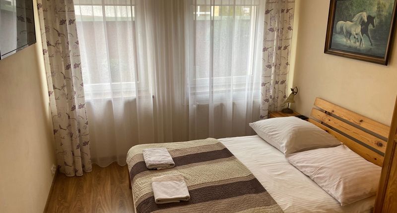 Classic Pokoj s manželskou postelí na přízemí - Pokoje Gościnne Sylwia Ustroń, foto 1