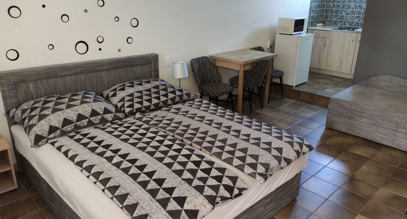 Classic Apartman s manželskou postelí s 1 ložnicí (s možností přistýlky) - Vasti Apartman Siófok, foto 1