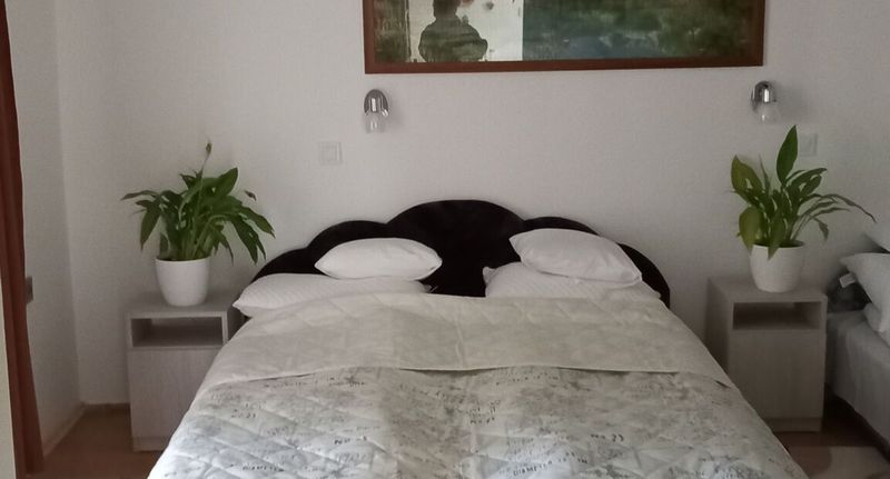 Rolnický dům (jako celek) pro 5 os. s výhledem do zahrady na přízemí - Németh Apartman Tiszafüred, foto 1