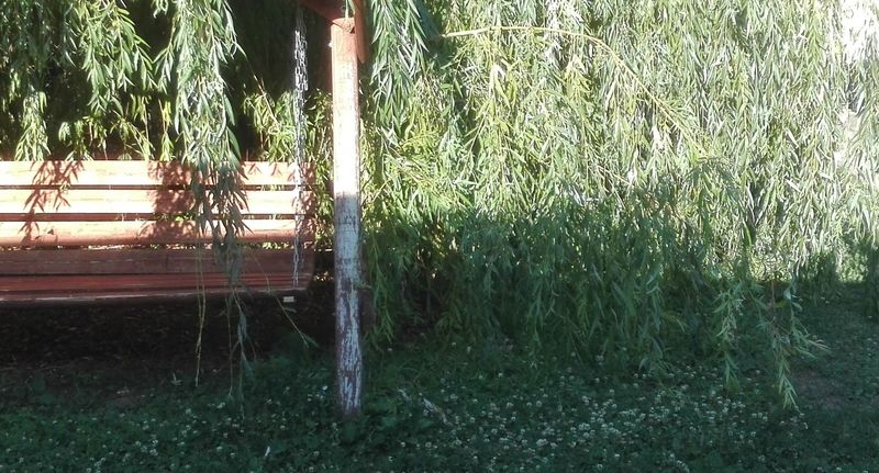 Standard Pokoj pro 3 os. s výhledem do zahrady - Meggyfa Vendégház Egerszalók, foto 1