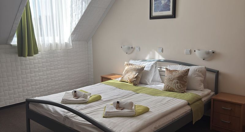Classic Pokoj s manželskou postelí - Viktória Wellness Hotel Nagyatád, foto 1