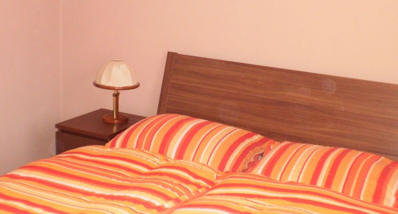 Pokoj s koupelnou s manželskou postelí přízemní - Haus-Erzberg Vordernberg, foto 1