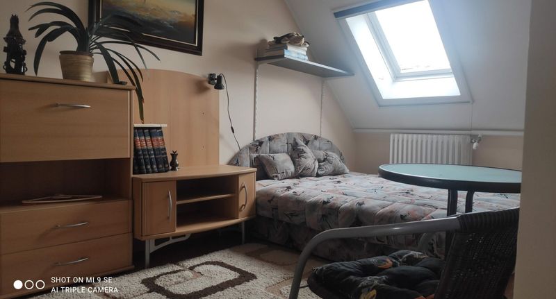 Pokoj s manželskou postelí v podkroví - Tünde Vendégház Eger, foto 1