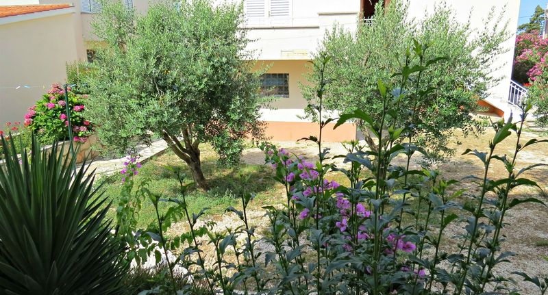 Apartman pro 4 os. se 2 ložnicemi - Apartments EDO Novalja, foto 1