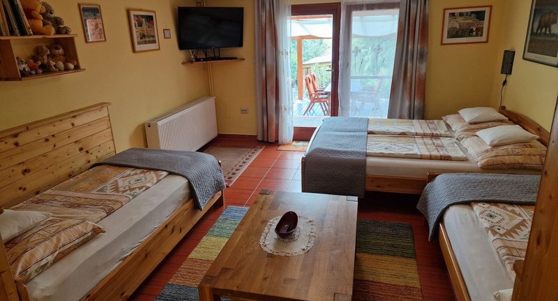 Standard Apartman (jako celek) pro 4 os. přízemní (s možností přistýlky) - Virág Apartmanház Sopron, foto 1