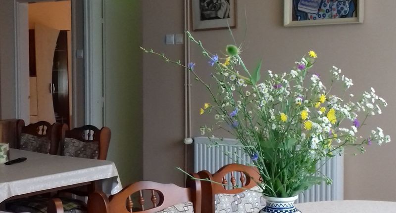 Rodinný Apartman (jako celek) pro 8 os. na poschodí - Gyöngyvirág Apartman Kehidakustány, foto 1