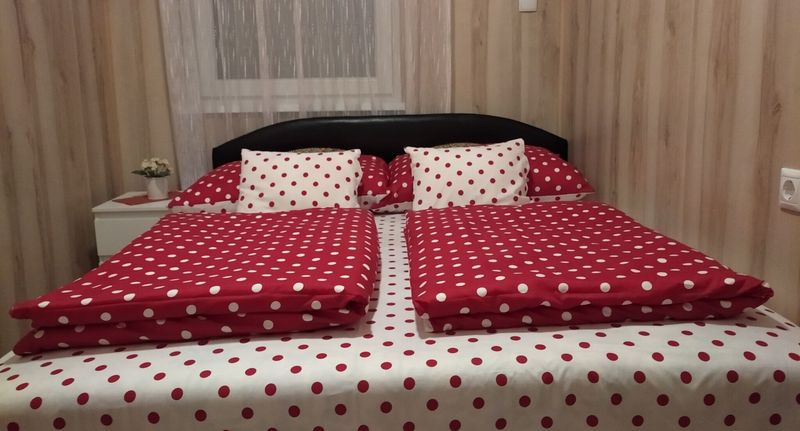 Rekreační dům (jako celek) pro 4 os. - Kuckó Vendégház Mezőkövesd, foto 1