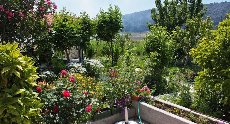 Apartman s klimatizací s terasou s manželskou postelí s 1 ložnicí A-4972-a - Apartments With Parking Space Kampor, Rab - 4972 Kampor, foto 1