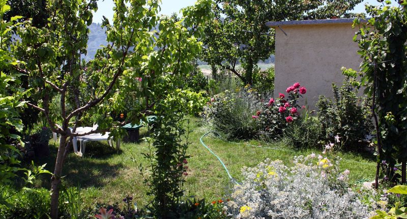 Apartman s klimatizací s terasou s manželskou postelí s 1 ložnicí A-4972-b - Apartments With Parking Space Kampor, Rab - 4972 Kampor, foto 1