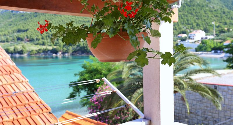 Apartman s klimatizací s terasou pro 3 os. s 1 ložnicí A-10228-a - Apartments By The Sea Žuljana, Pelješac - 10228 Žuljana, foto 1
