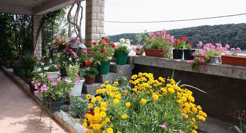 Apartman s klimatizací s terasou s manželskou postelí s 1 ložnicí A-4984-b - Apartments With Parking Space Kampor, Rab - 4984 Kampor, foto 1