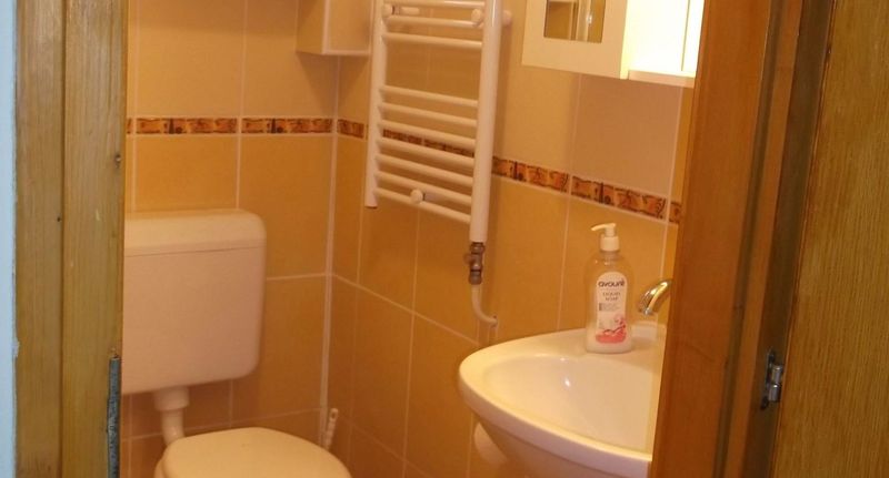 Apartman s manželskou postelí s 1 ložnicí přízemní - Rózsa Vendégház Szálka, foto 1
