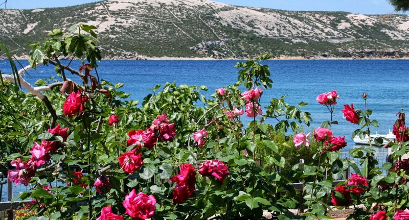 Apartman s klimatizací s terasou pro 7 os. se 2 ložnicemi A-4106-e - Apartments By The Sea Stara Novalja, Pag - 4106 Stara Novalja, foto 1