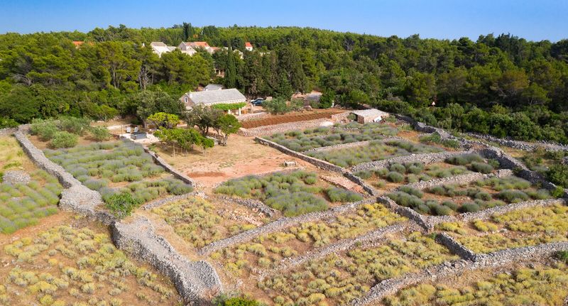 Apartman s klimatizací s terasou pro 8 os. se 4 ložnicemi K-8805 - Holiday Home With Hot Tub Humac, Hvar - 8805 Humac, foto 1