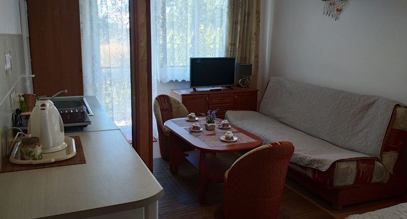 Pokoj s koupelnou s vlastní kuchyňkou pro 4 os. - Willa Szmaragd Kołobrzeg, foto 6