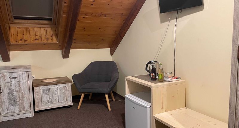 Premium Pokoj se sprchou pro 1 os. - HOTEL HERMAN Rychnov nad Kněžnou, foto 1
