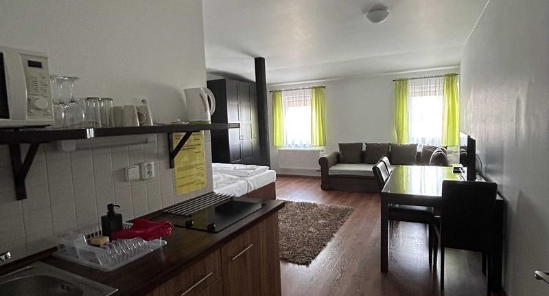 Studio Apartman se sprchou pro 2 os. s 1 ložnicí - Motel R10 Mladá Boleslav, foto 13