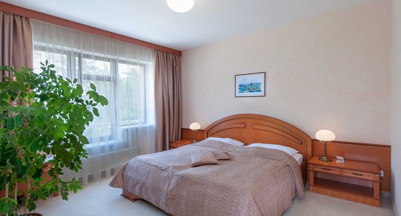 Apartman se sprchou s manželskou postelí s 1 ložnicí s panoramou - APRIL HOTEL PANORAMA Rychnov nad Kněžnou, foto 1