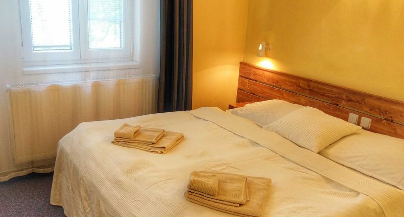 Pokoj se sprchou pro 2 os. (s možností přistýlky) - Hotel Tálský mlýn Žďár nad Sázavou, foto 5