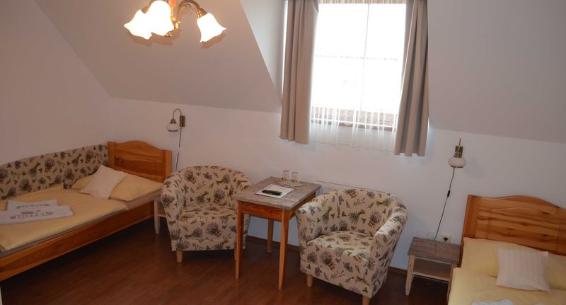 Pokoj s manželskou postelí - Hotel Tři Věžičky Střítež, foto 1