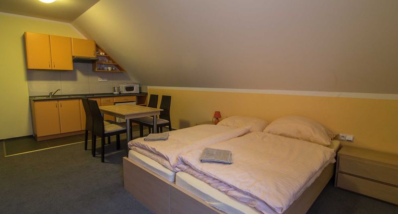 Apartman se sprchou s vlastní kuchyňkou pro 4 os. se 2 ložnicemi (s možností přistýlky) - Apartmány Sport Rokytnice nad Jizerou, foto 23