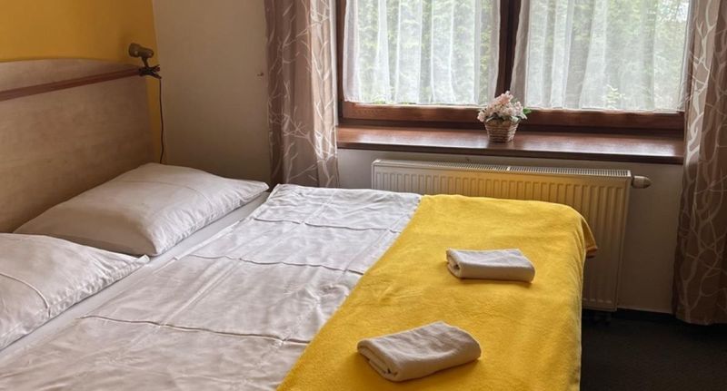 Pokoj se sprchou s manželskou postelí (s možností přistýlky) - Penzion Pod Špejcharem Třeboň, foto 1