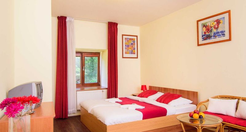 Pokoj se sprchou s manželskou postelí - HOTEL STARÝ PIVOVAR Praha, foto 1