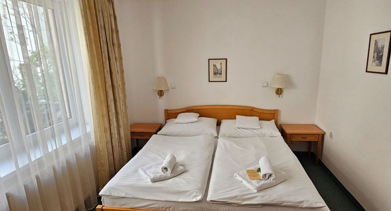 Economy Pokoj s koupelnou s manželskou postelí - Hotel Claris Praha, foto 1
