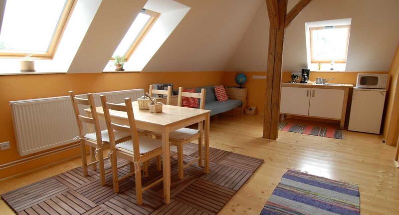 Premium Apartman se sprchou pro 3 os. - Penzion Dvůr Netolice, foto 1