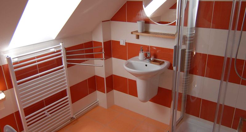 Premium Apartman se sprchou pro 5 os. - Penzion Dvůr Netolice, foto 1